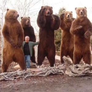 Photo of Basco's Bear Moving
