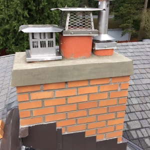 Photo of Safeguard Chimney and Roof Systems