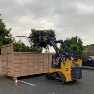 Photo of SouthWest Environments Landscape Services
