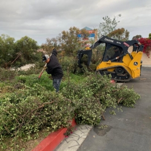 Photo of SouthWest Environments Landscape Services