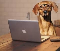 Photo of PC Solutions of Texas