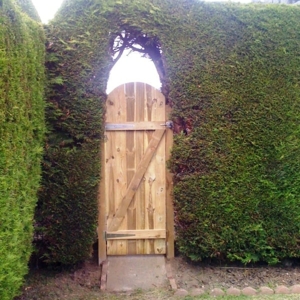 Photo of TimberFence.com