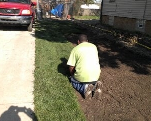Photo of Special Cuts Lawn Care Services