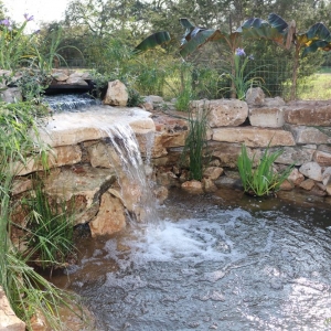 Photo of Robin Tyler Designs