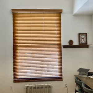 Photo of Day Light Window Treatments