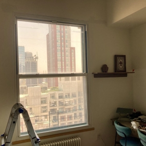 Photo of Day Light Window Treatments