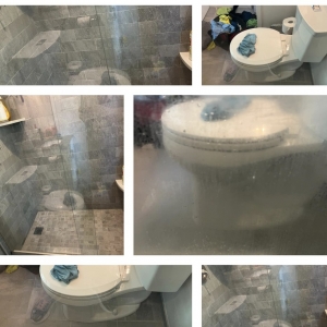 Photo of Back To Basics Green Cleaning Services
