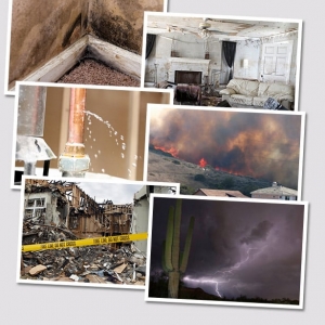 Photo of EHS Restoration