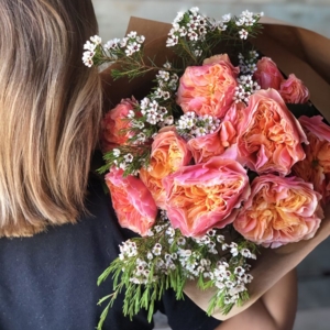 Photo of Florster