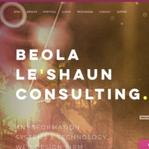 Washington Beola Le'Shaun Consulting