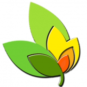 Photo of Little Green Maid Services