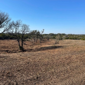 Photo of Pierce Land Clearing