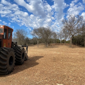 Photo of Pierce Land Clearing