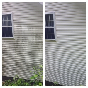 Photo of Fish Window Cleaning