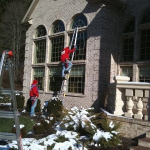 Photo of Fish Window Cleaning