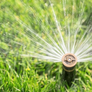 Photo of Atlantic Lighting & Irrigation