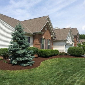 Photo of Your Yard Solutions