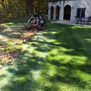 Photo of Your Yard Solutions