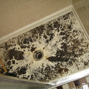 Photo of Flood Specialist