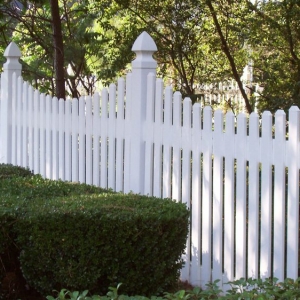 Photo of Mossy Fence
