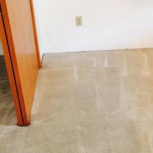 Photo of Eco Friendly Carpet Cleaning & Upholstery