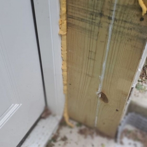 Photo of Basement Solutions 911