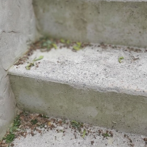 Photo of Basement Solutions 911