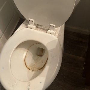 Phoenix Pro Luxury Cleaning Services