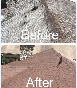 Photo of Liqua-Roof