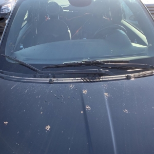 Photo of Moo Moo Express Car Wash - Upper Arlington