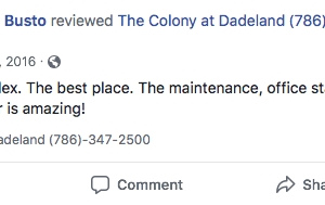 Photo of Colony At Dadeland