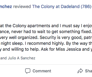Photo of Colony At Dadeland