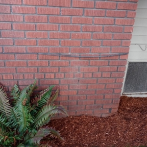 Photo of Great Cuts Landscaping