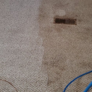 Crawfordsville Sixberry Carpet Cleaning
