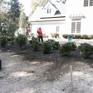 Photo of Gallardo Landscaping