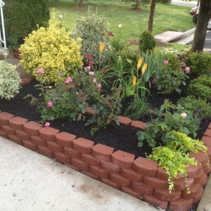 Photo of Visionary Lawn Services