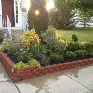 Photo of Visionary Lawn Services