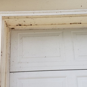 Photo of Davis Powerwash