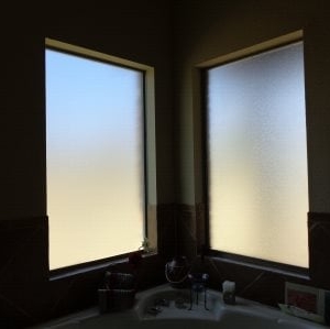 Photo of Dale's Professional Windows & Glass
