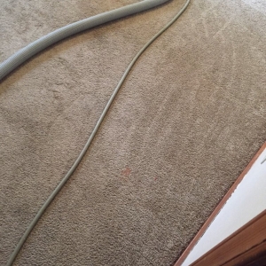 Photo of GF Cleaning Services