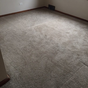 Photo of GF Cleaning Services