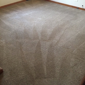 Photo of GF Cleaning Services