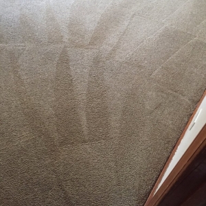 Photo of GF Cleaning Services