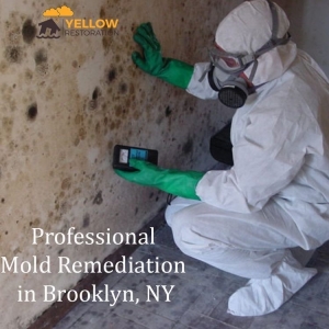 Photo of Yellow Restoration