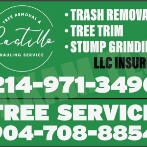 Photo of Castillo,s tree service and hauling service