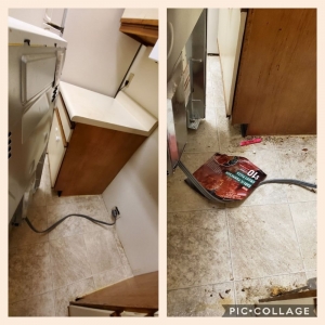 Photo of Bella Shine Cleaning Services