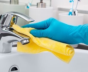 Photo of ZZ Clean