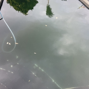 Photo of Fowler's Pool Service and Supply
