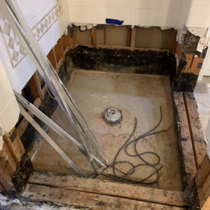 Photo of Rigid Remodeling and Restoration