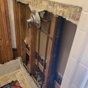 Photo of Rigid Remodeling and Restoration